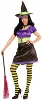 Preview: Colorful Crazy Witch witch costume