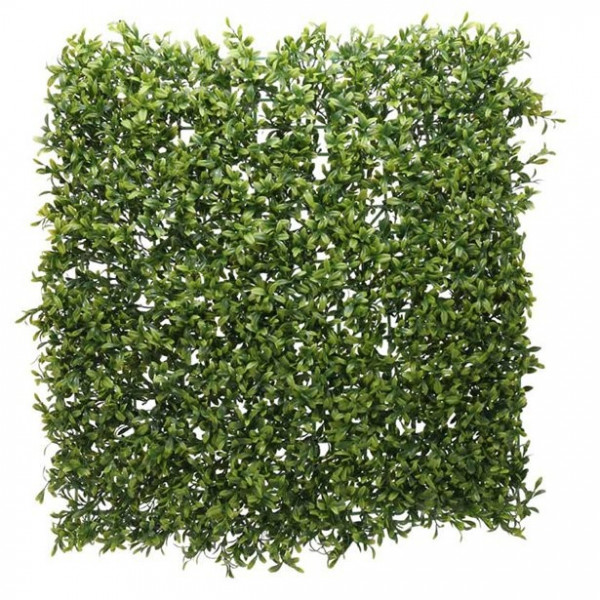 Grüne Pflanzenwand Dekoration 50 x 50cm