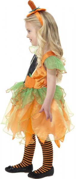 Little Pumpkin Fairy Child Costume 2