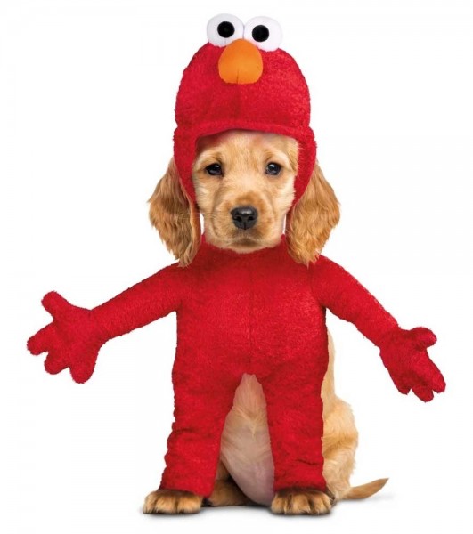 Elmo dog costume