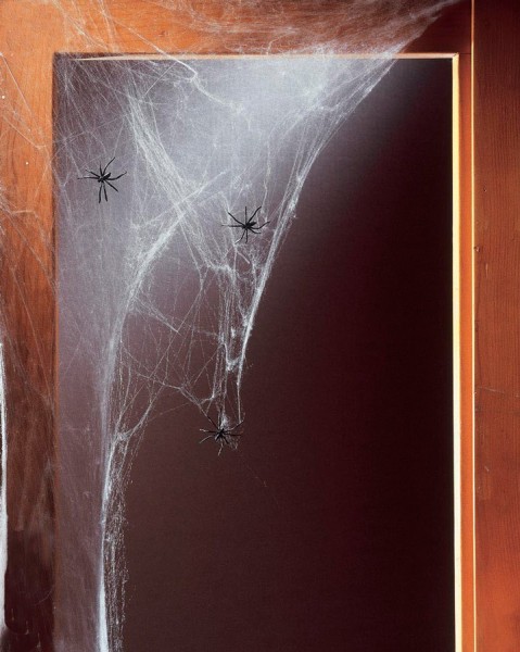 Wild Spiders Spinnennetz mit 20 Spinnen