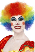 Colorful clown wig Rainbow