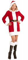 Oversigt: Frøken juledamer kostume
