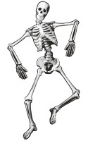 Voorvertoning: Dansende Halloween skelet muurschildering 134cm