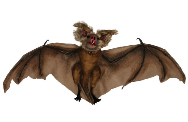 Pipistrello marrone 60 cm