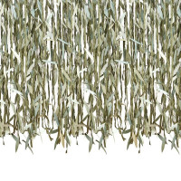 Vorschau: Botanical Blätterband Vorhang