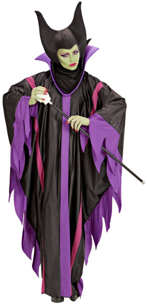Dark Fairy costume