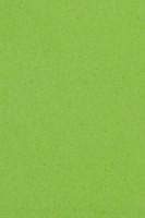 Tovaglia verde kiwi 1,37 x 2,74 m