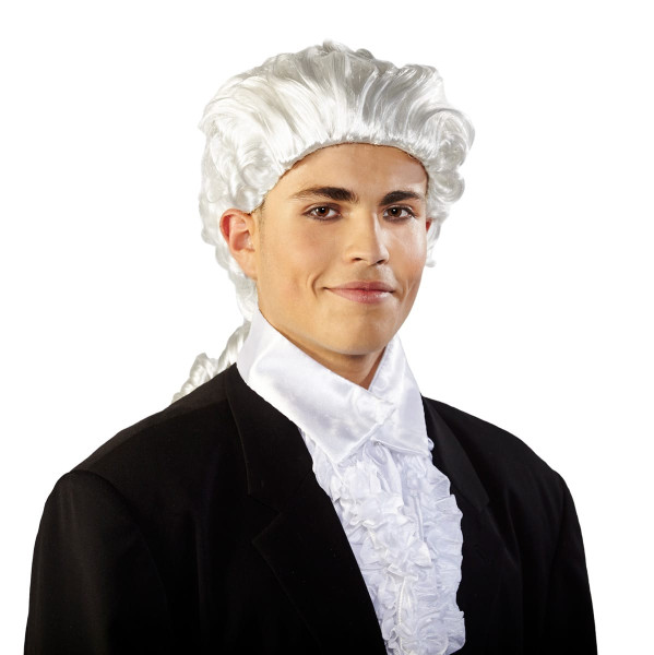 Wolfgang Amadeus wig gray
