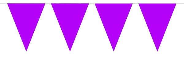 chaîne de fanion simple violet 10m