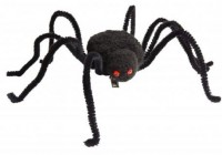 Förhandsgranskning: Halloween skräck hår klipp spindel svart änka