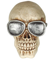 skull with glasses