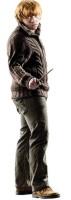 Ron Weasley supporto in cartone 92 cm