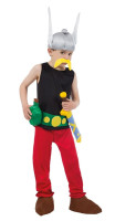 Costume Asterix Deluxe per bambini
