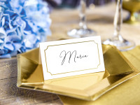 10 Fenice place cards 9.5 x 5.5cm