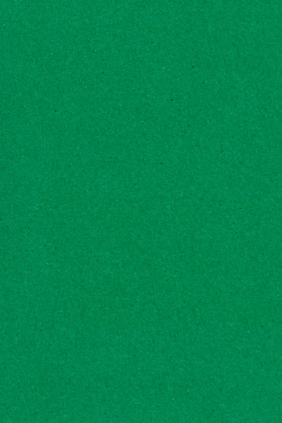 Papier-Tischdecke Smaragdgrün 137x274cm