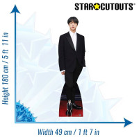 Förhandsgranskning: BTS Jin kartongutskärning 1,80m