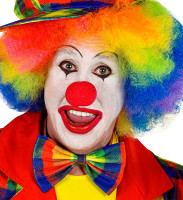 Vorschau: Bunt karierte Clownsfliege