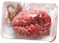 Vista previa: Cerebro ensangrentado en envases refrigerados