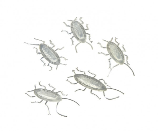 6 glöd i mörkret kackerlackor