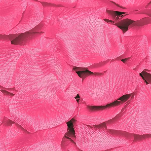 144 pink rose petals flaming love