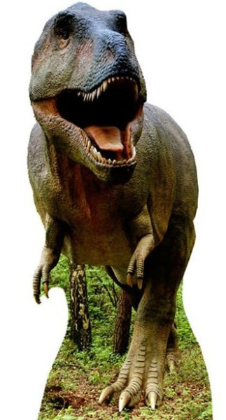 Kartonowa wycinanka Tyrannosaurus Rex 1,86m