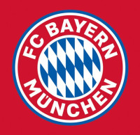 8 FC Bayern München Geschenktüten 23 cm