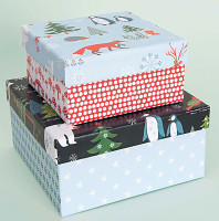 Vista previa: Caja de regalo blanca para decorar 20x15x6cm
