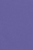 Nappe plastique Mila violet 1,37 x 2,74m