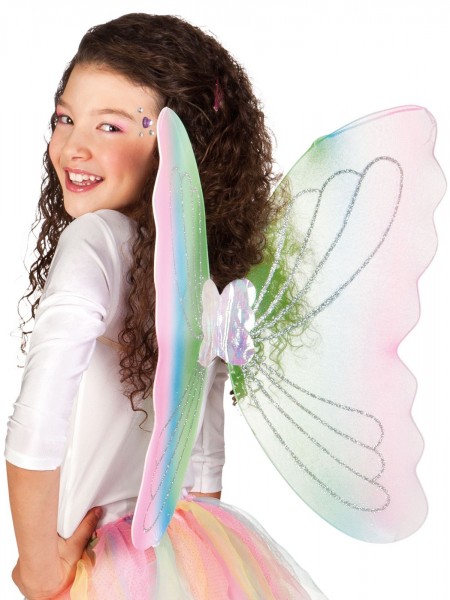Magical fairy wings 49 x 44cm