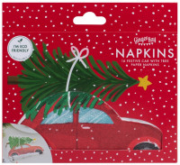 Aperçu: 16 serviettes éco Driving home for Christmas