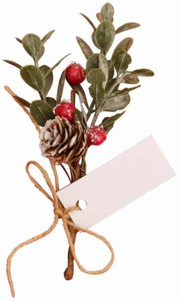 6 place card holders berry branches