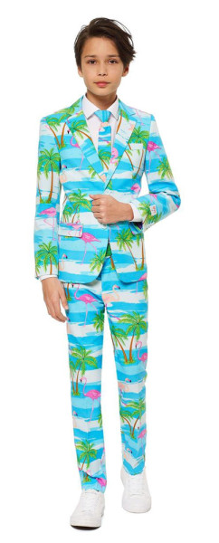 OppoSuits suit Teen Boys Flaminguy