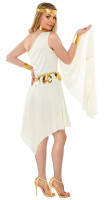 Aperçu: Costume femme beauté grecque Helena