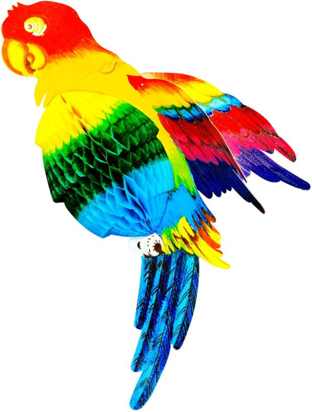 Farverig papegøje dekoration 38cm