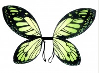 Voorvertoning: Vlinder feeën vleugels groen
