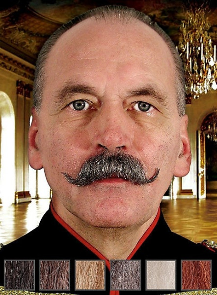 King Friedrich real hair mustache