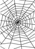 Spinnennetz Shocking Spider 150cm