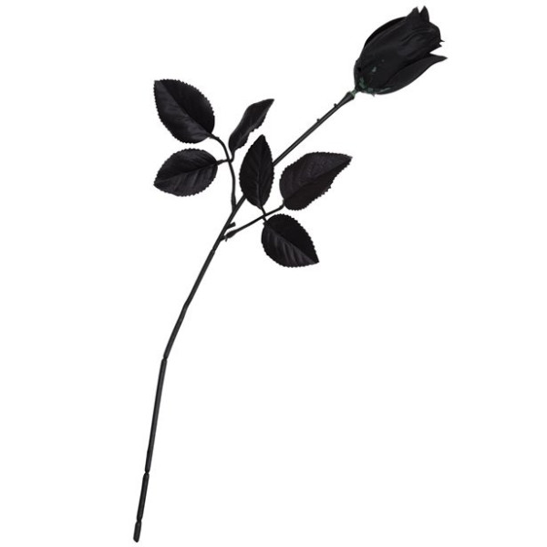 Rose noire 40 cm