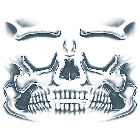 Skull adhesive face 2