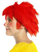 Pumuckl wig for adults unisex