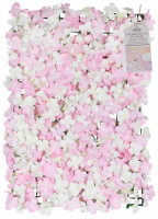 Biała i różowa ściana z kwiatów hortensji