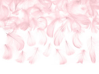 3g deco fjädrar rosa 5-8cm