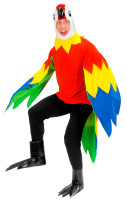 Pierre papegoja vuxen kostym