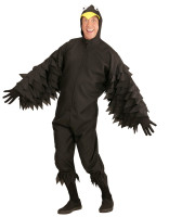 Anteprima: Costume corvo Renato