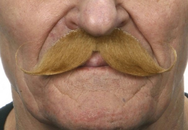 Moustache de Horst