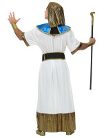 Oversigt: Sares faraos kostume til en mand