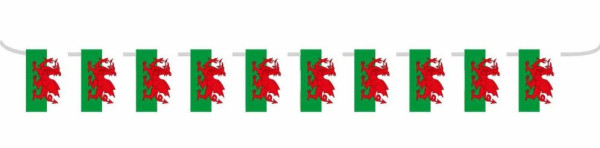 Wales Wimpelkette 5m