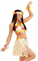 Oversigt: 4-delt hawaiisk kostume sæt