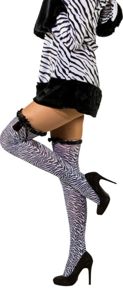 Sexy zebra sopra le calze al ginocchio